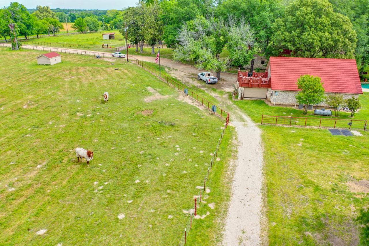 Dog-Friendly Wills Point Home With Grill On 10 Acres كانتون المظهر الخارجي الصورة